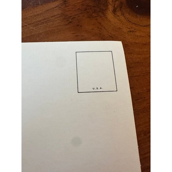 Vintage Butterfly Wings Camellia Postcard – Descanso Gardens, La Cañada Flintrid - Picture 8 of 10